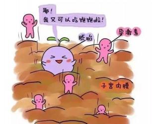 黄体酮的作用：女性受孕与妊娠的神奇守护者