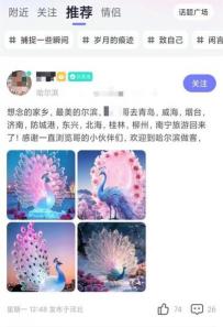 老福特是什么：网易社交平台与同人文化聚集地