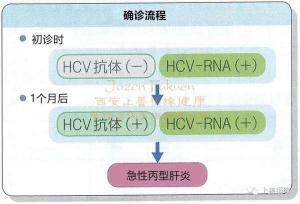 丙肝抗体：身体对丙肝病毒感染的响应与警示