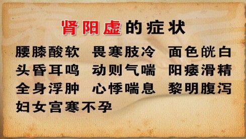 肾阴虚的症状解析：了解这些信号，守护你的肾脏健康