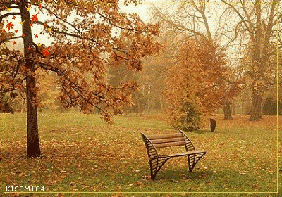 秋雨过后，诗意何寻？——探索古人笔下的雨后情怀