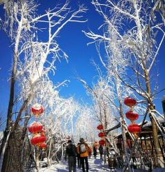 北旅新篇章：探秘千年盛唐雪乡，冬日旅游新体验