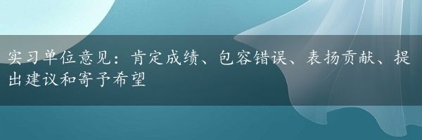 实习单位意见：肯定成绩、包容错误、表扬贡献、提出建议和寄予希望