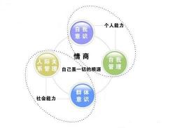 如何提高自己的口才能力：人际交流、竞选活动与锻炼工作的选择