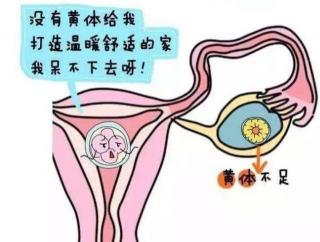 卵巢黄体破裂：了解成因，守护女性健康