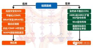 结肠癌术后生存期揭秘：如何活得更久？