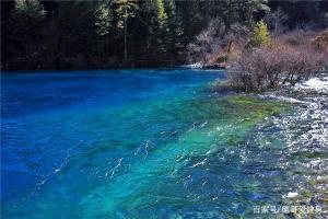 玫瑰湖：山东黄河边的自然宝藏与休闲胜地