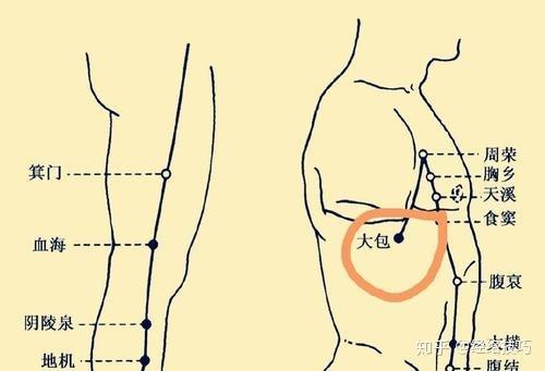 肝脏排毒全攻略：饮食、作息、情绪与穴位按摩助你轻松排毒