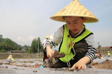 《父亲的菜园》教学反思：如何在课堂中播种成长与感悟