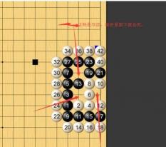 围棋怎么下新手入门：轻松掌握围棋基础规则与布局技巧