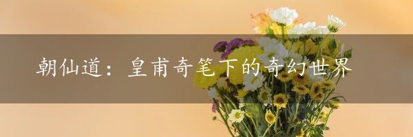 朝仙道：皇甫奇笔下的奇幻世界