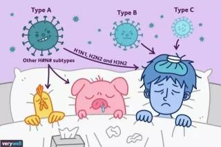 新冠感染：是先出现腹泻还是先发烧？症状表现因人而异，一文解读