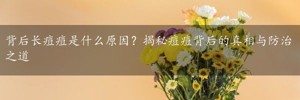 背后长痘痘是什么原因？揭秘痘痘背后的真相与防治之道