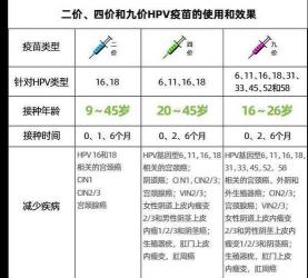 二价与四价宫颈癌疫苗：关键区别一览