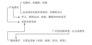 还很热怎么办？揭秘持续发热的非疾病与疾病因素