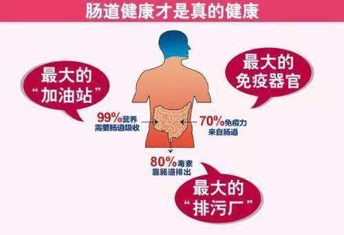 长期腹部胀气的原因解析：从生活习惯到潜在疾病，一文读懂