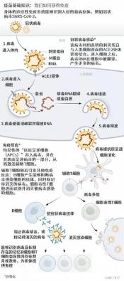 得了新冠为何会口苦？解析原因与应对策略