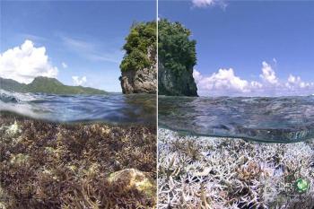 风平浪静背后的汹涌：探索其反义词的海洋世界