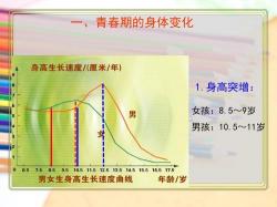 男孩发育期：了解青春期的身体变化与成长