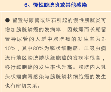 慢性膀胱炎的症状：如何识别并应对这一常见泌尿系统疾病？