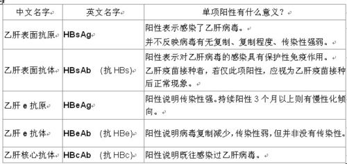 乙肝抗体阳性：了解背后的意义与处理方法