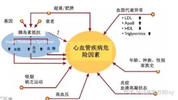 心脏病遗传吗？深入了解心脏病的影响因素及预防方法