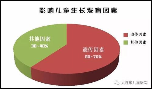 胚胎停止发育的原因解析：遗传、解剖结构、感染、内分泌等多因素影响