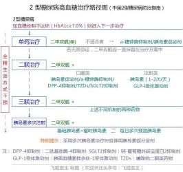 2型糖尿病的治疗全攻略：日常调理、药物与手术选项