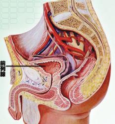 揭秘前列腺炎的三大诱因：性生活、憋尿与病菌感染