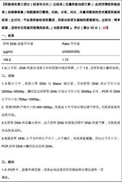 基因检测方法：从生化检测到DNA分析