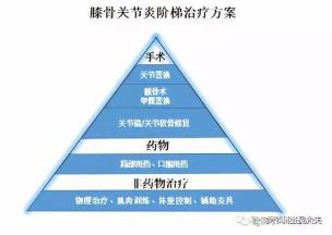 膝关节退行性关节炎：症状、治疗与预防全面指南