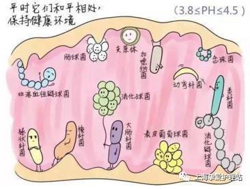 阴道炎症的症状：细菌性、念珠菌性与滴虫性的区别