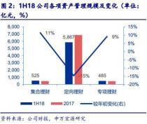 宏源证券公司：全方位金融服务体系的佼佼者