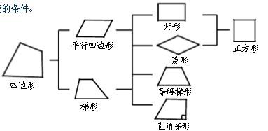 梯形的定义及性质：四边形的分类与特殊情况