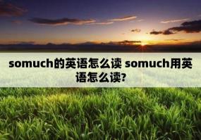 非常有用！理解并运用'verymuch'的关键所在